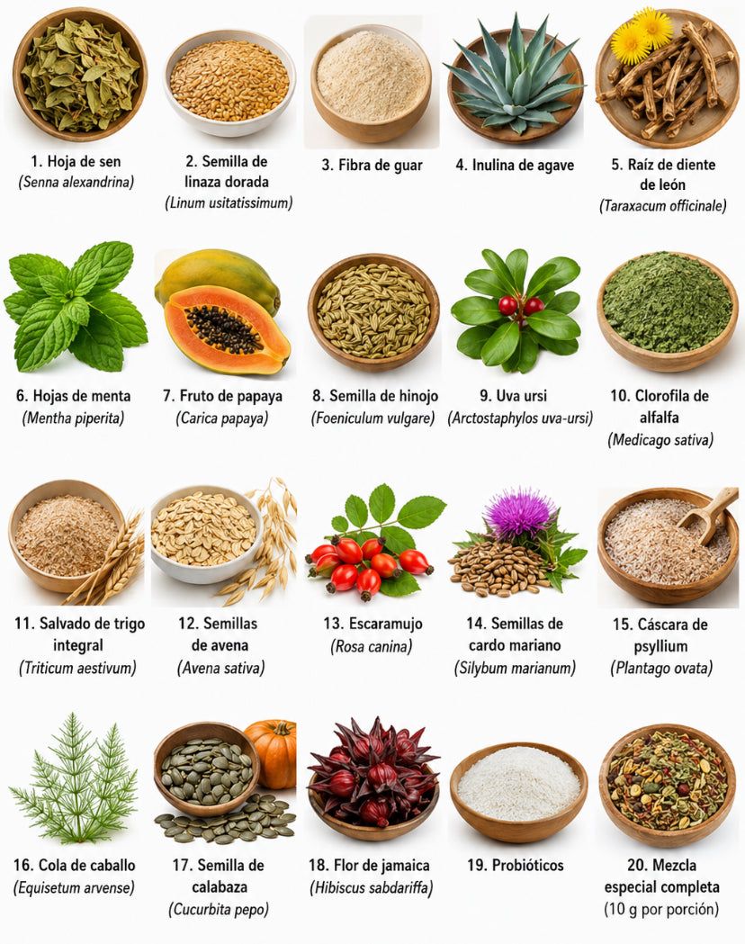 Super Detox Barre Barre Desintoxicador de Organos y control de peso ( Con Probioticos)