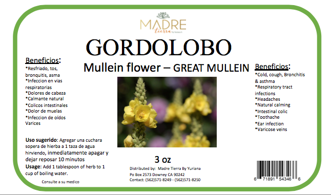 Gordolobo (Mullein flower)