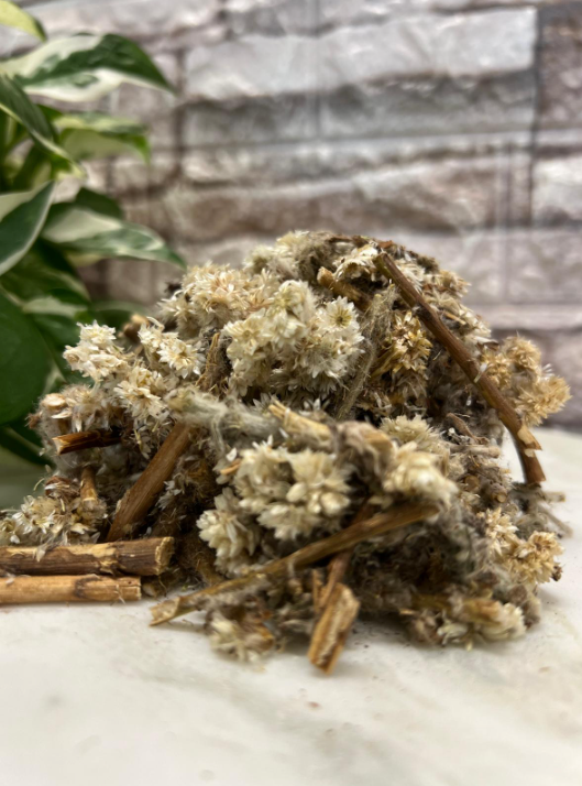 Gordolobo (Mullein flower)