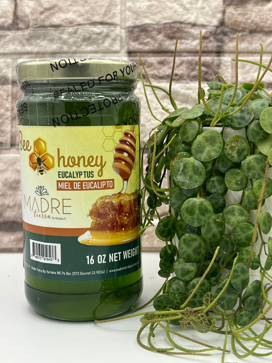 MIEL DE EUCALIPTO / EUCALYPTUS HONEY BEE