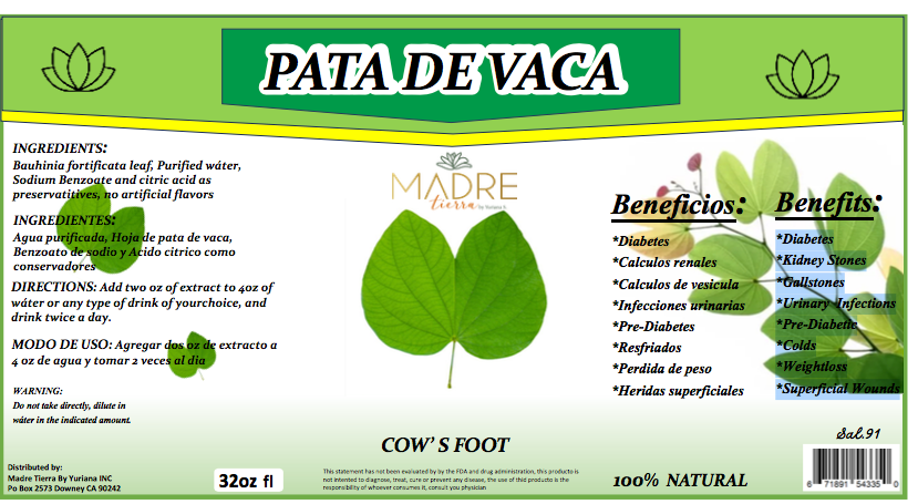 "Pata de Vaca" Tonico