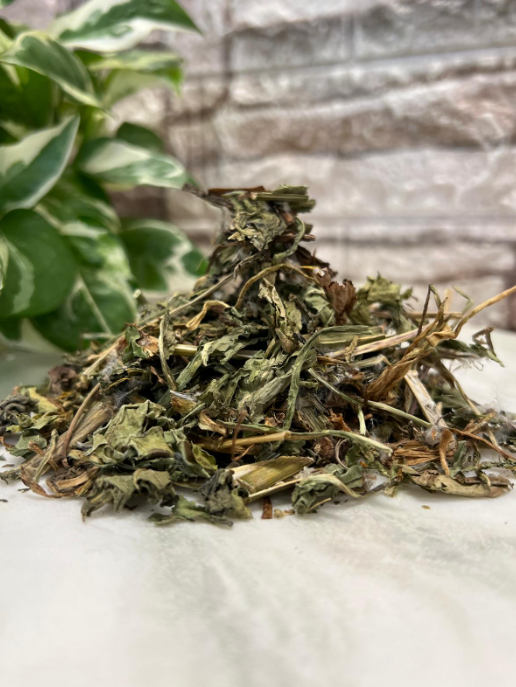 Diente de Leon (dandelion)