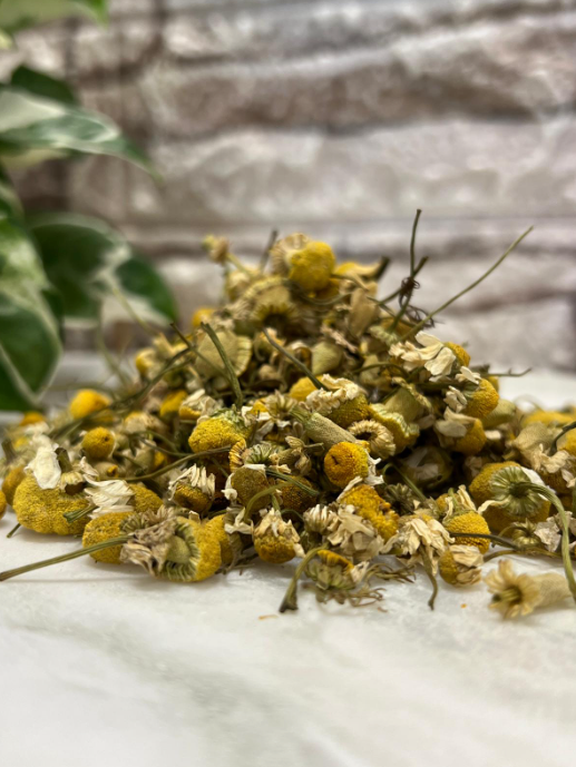 Manzanilla ( CHAMOMILE)